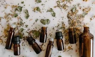 Essential Oils 101: A Basic Guide | The Guildford Institute