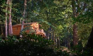 TreeHouse Retreats : Cowdray