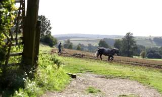 October Half Term at Weald & Downland Living Museum