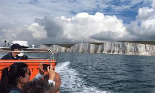 Sussex Dolphin Project - Newhaven