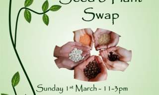 Grow Selsey Seed & Plant Swap