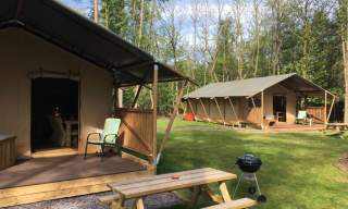 Worth Forest Glamping