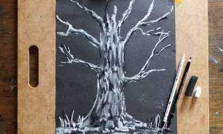 Drawing the Spirit of Trees