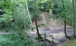 St. Helen's Woods