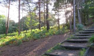 Lightwater Country Park