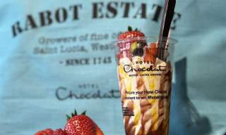 Family Chocolate Adventure