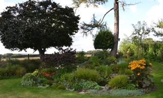 National Garden Scheme: 12 Keepers Wood, Chichester Open Garden