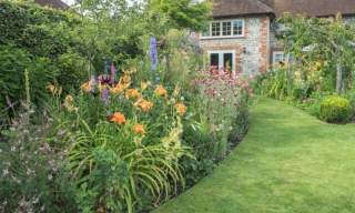 The National Garden Scheme: The Folly, Charlton Open Garden