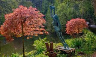 The Sculpture Park