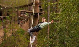 Go Ape Alice Holt