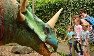 Paradise Park & Gardens