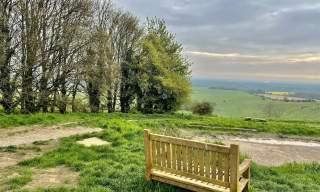 Cycle Route: Kingley Vale & The Trundle (16.6 miles, Southern eBike Rentals)
