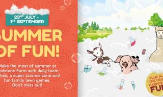 Summer of Fun at Godstone Farm