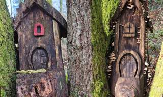 The Secrets of Dragons and Fairies - May half term trail | Winkworth Arboretum National Trust