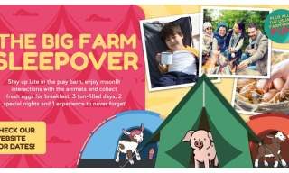 The Big Farm Sleepover | Godstone Farm