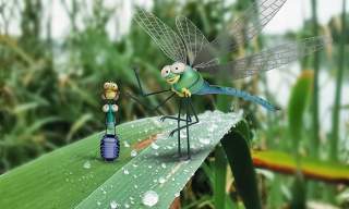 Lloyd of the Flies Wetland Bug Hunt