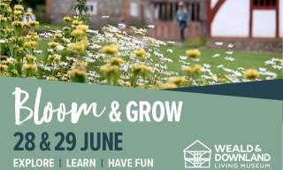 Bloom & Grow
