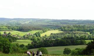 Newlands Corner