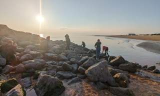 Mulberry Marine Experiences- Marine Ecology Walks