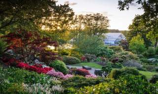 RHS Garden Wisley