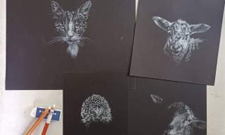 White Pencil Drawings on Black Paper | The Guildford Institute