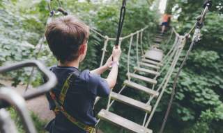 Wild Wood Adventure
