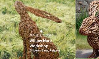 Willow Hare Workshop | Hedges and Hurdles