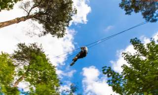 Go Ape Alice Holt