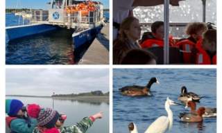 'Birds Ahoy!' Half Term Family Boat Trip