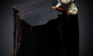 Elizabeth Welch: Glass, Light and Wild Beauty