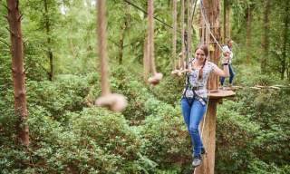 Go Ape Alice Holt