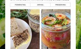 Return of the Larder