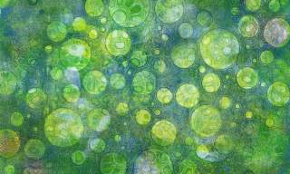 Introduction to Printing & Photography Processes Using Gelli Plates | Frensham Heights