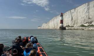 Sussex Boat Trips