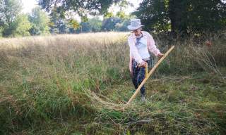 An Introduction to Scything