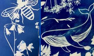 Cyanotype and paper cutting workshop | The Horton Arts Centre