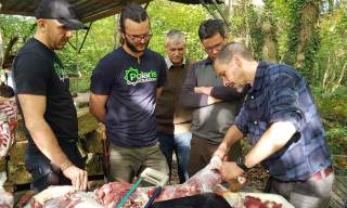 Deer Butchery