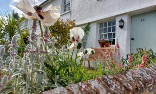 Steyning Cottages - Rosebud Cottage