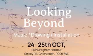 Looking beyond…The four seasons of Pagham Harbour