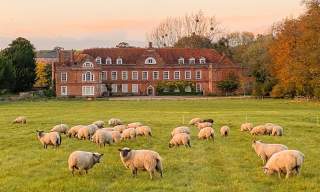 Nooks and Crannies History Tour | West Horsley Place