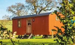 The Merry Harriers luxury Shepherd Huts