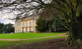 Harlequin Willow Workshop | Gatton Park