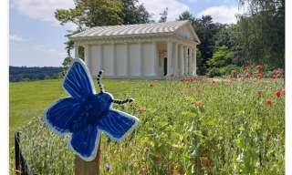 Bugs and Butterflies Trail at Painshill