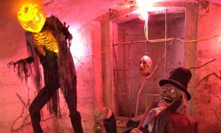 Halloween Under The House