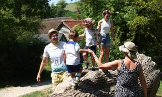 Summer at Weald & Downland Living Museum