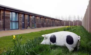 The Piglets Bookable Barnlets