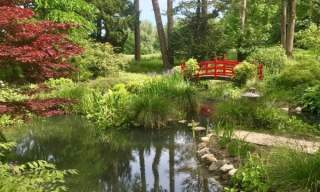 Woodland Scene 6+ years | Gatton Park