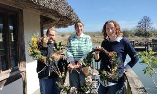 Spring Wreath Workshops | WWT Arundel