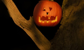 Big Wild Halloween Party 2026