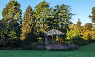 Live on the Bandstand: Out of the Blue Big Jazz Band